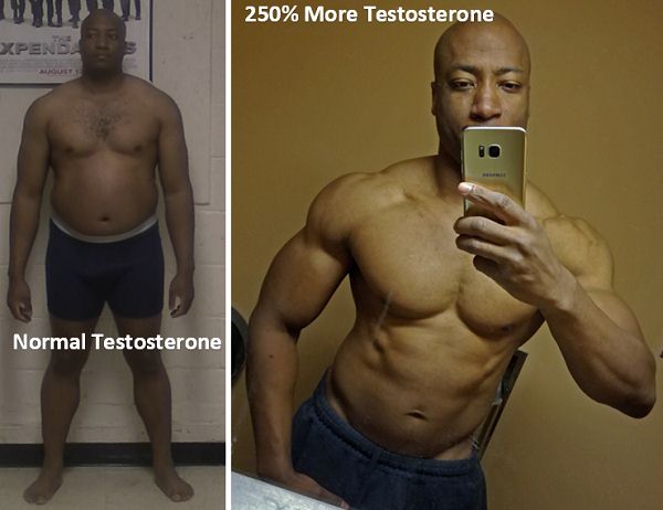 increase testosterone