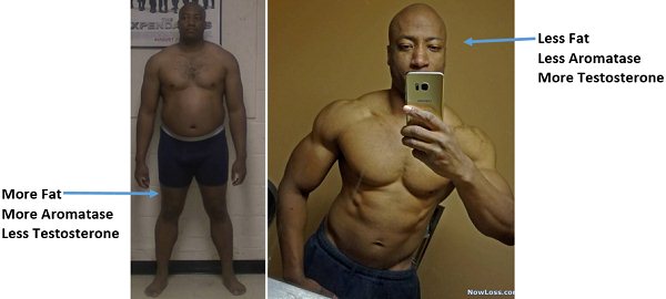 How I Increased My Testosterone by 250% → Naturally at 40 years old