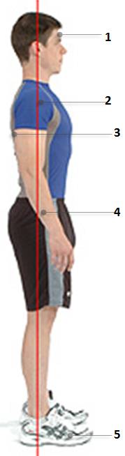 image of good standing posture