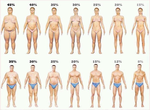 Skinny To Fat Chart