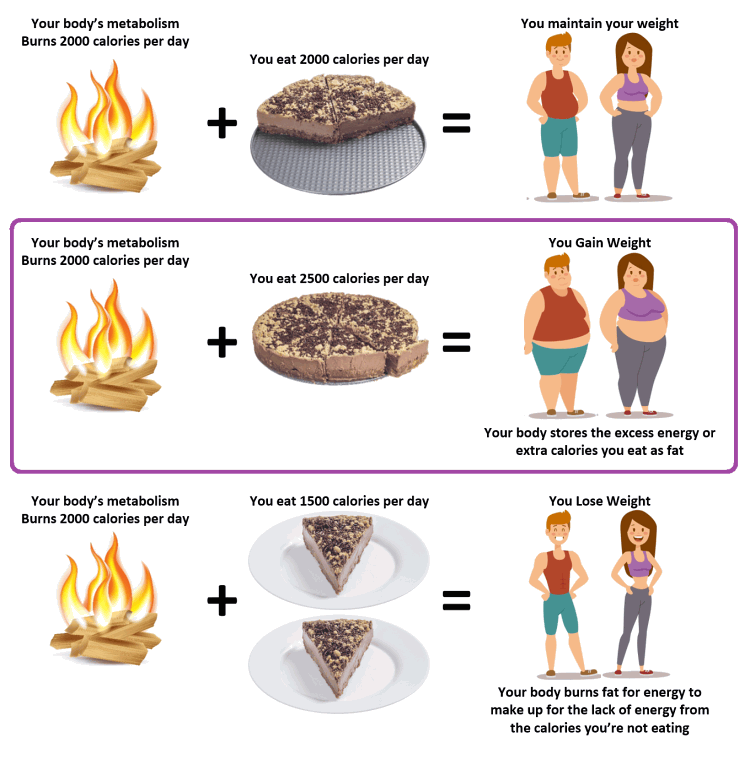 how you lose weight