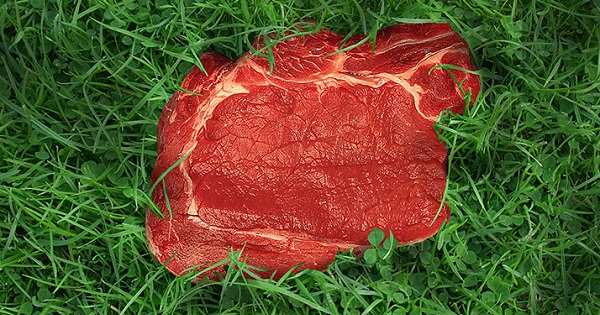 grass fed beef benefits