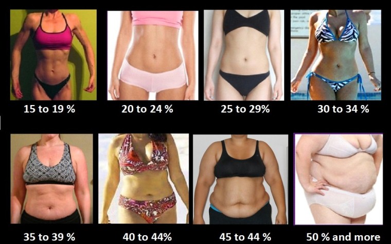 Check your body fat percentage online - Body fat percentage calculator for  women & men