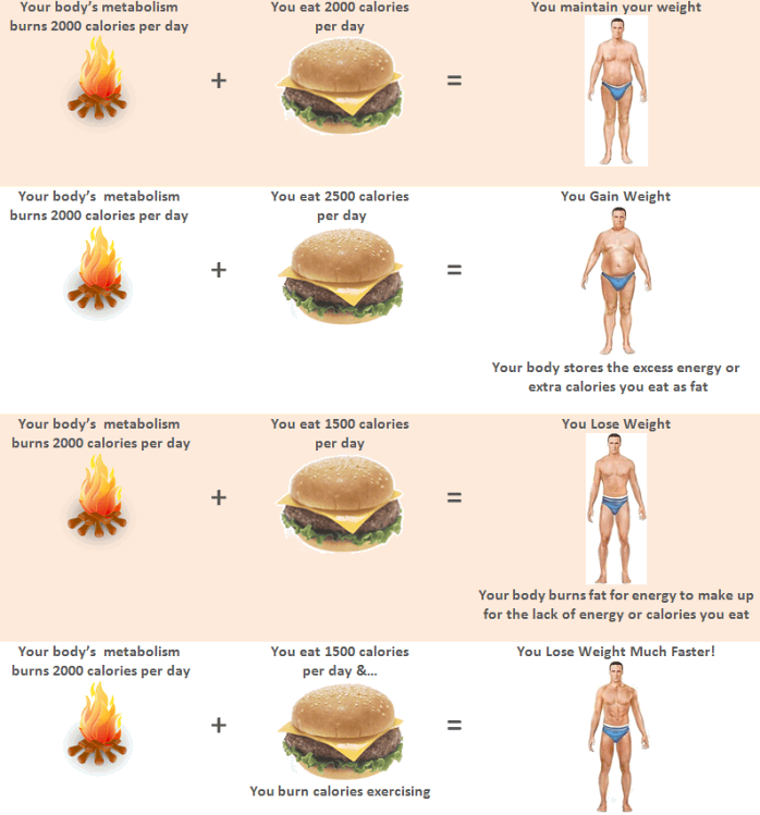 lose, gain or maintain weight