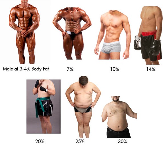 Body Fat Percentage Chart Men