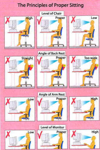 proper seated posture principles
