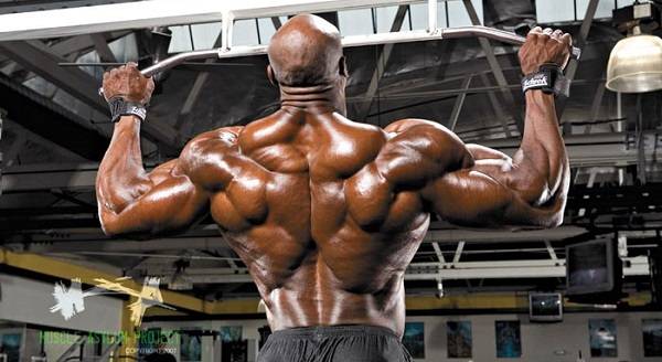 How to get better at the chin up to build up your back and biceps