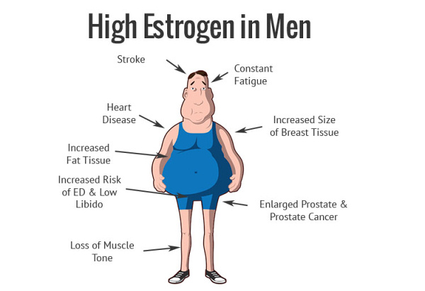 Men → How to Naturally Lower Estrogen Levels ← More