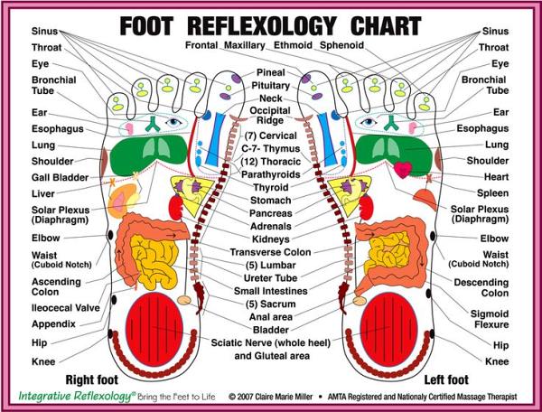 reflexology chart stress