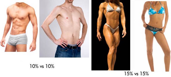 Body Fat Calculator for Bodybuilding